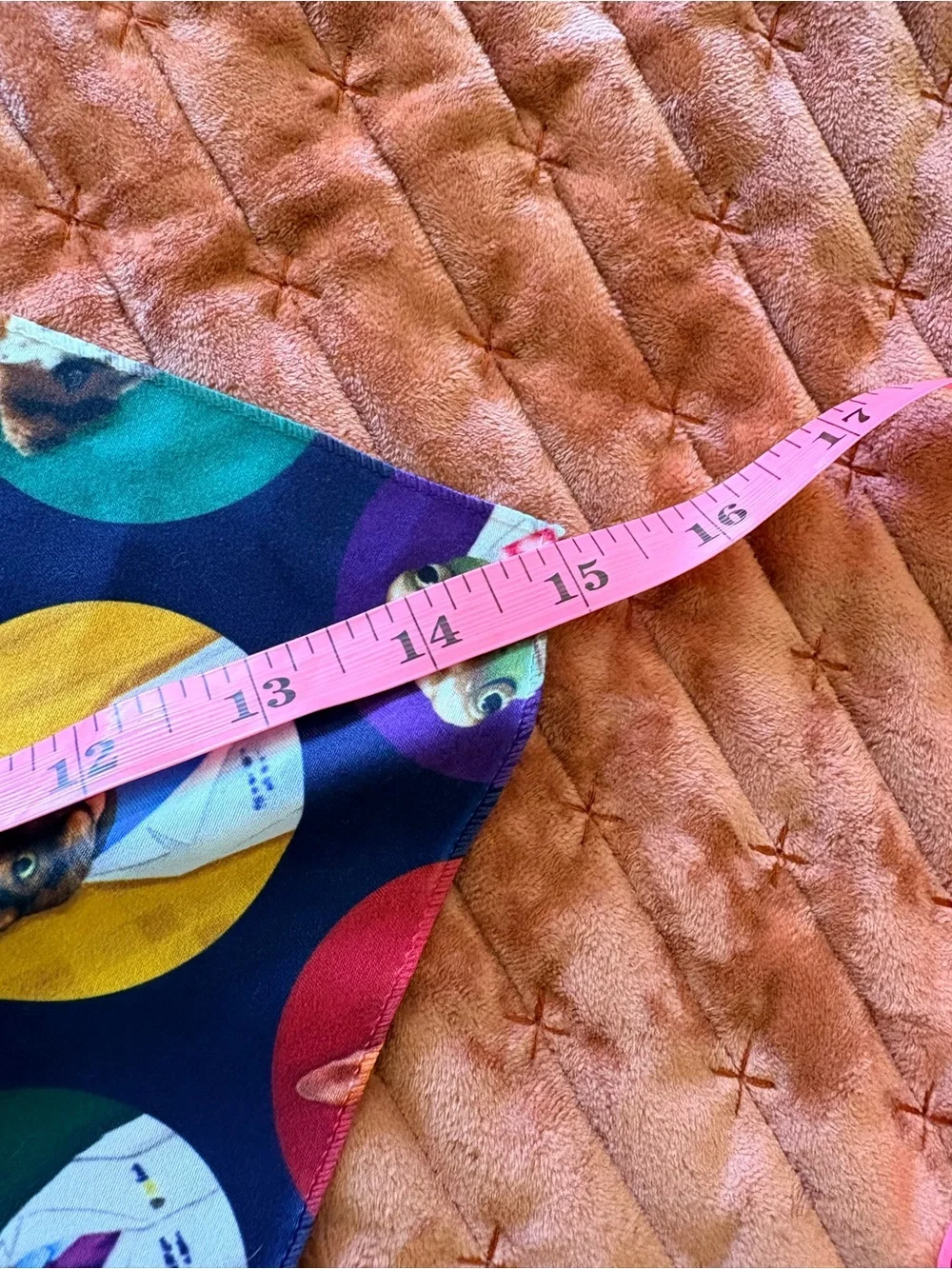 N/A pet bandana